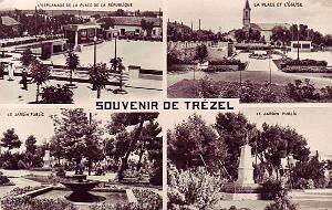 TREZEL 610